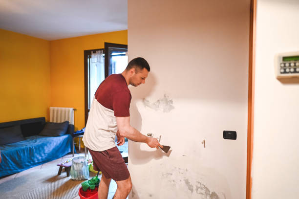 Best Kitchen Mold Remediation in San Jacinto, CA